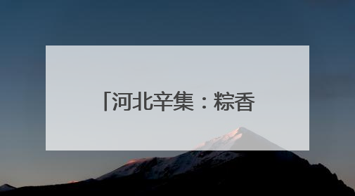 河北辛集：粽香童趣相辉映 文化传承润童心