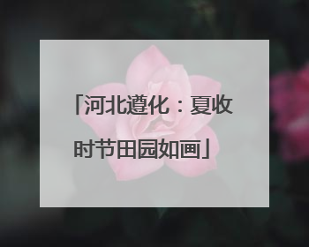 河北遵化：夏收时节田园如画