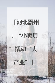 河北霸州：“小家具”撬动“大产业”