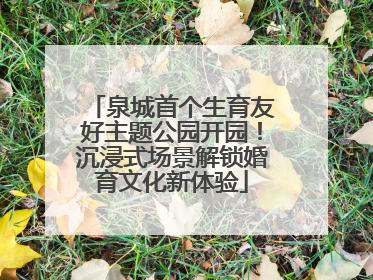泉城首个生育友好主题公园开园！沉浸式场景解锁婚育文化新体验