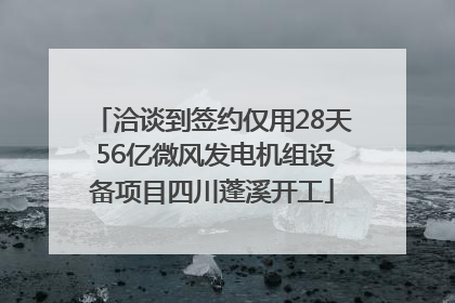 洽谈到签约仅用28天 56亿微风发电机组设备项目四川蓬溪开工