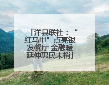 洋县联社：“红马甲”点亮银发餐厅 金融暖延伸惠民末梢
