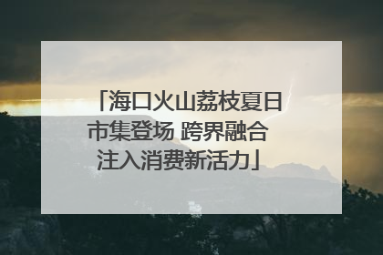 海口火山荔枝夏日市集登场 跨界融合注入消费新活力