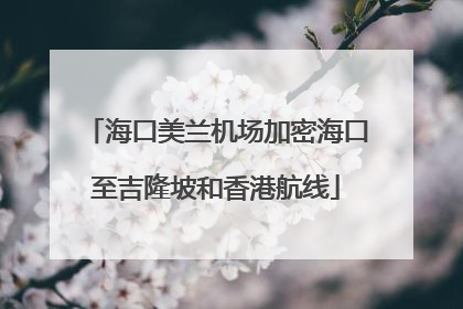 海口美兰机场加密海口至吉隆坡和香港航线