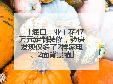 海口一业主花47万元定制装修，验房发现仅多了2样家电、2面背景墙