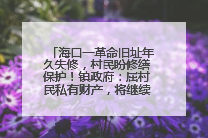海口一革命旧址年久失修，村民盼修缮保护！镇政府：属村民私有财产，将继续争取修缮资金
