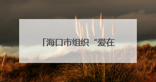 海口市组织“爱在椰城 情牵军营”军地青年联谊活动