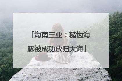 海南三亚：糙齿海豚被成功放归大海