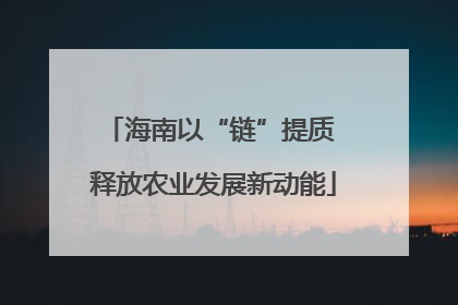 海南以“链”提质 释放农业发展新动能