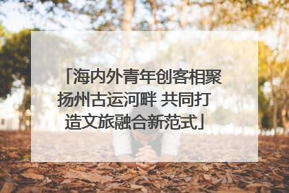 海内外青年创客相聚扬州古运河畔 共同打造文旅融合新范式