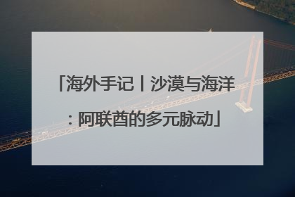 海外手记丨沙漠与海洋：阿联酋的多元脉动