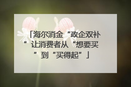 海尔消金“政企双补”让消费者从“想要买”到“买得起”