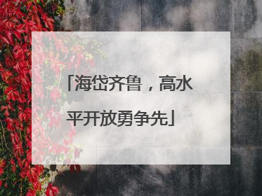 海岱齐鲁，高水平开放勇争先