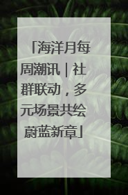 海洋月每周潮讯｜社群联动，多元场景共绘蔚蓝新章
