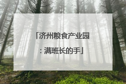 济州粮食产业园：满班长的手