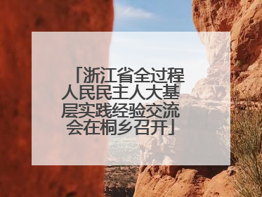 浙江省全过程人民民主人大基层实践经验交流会在桐乡召开