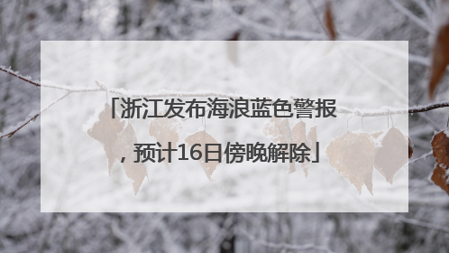 浙江发布海浪蓝色警报，预计16日傍晚解除