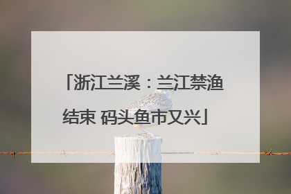 浙江兰溪：兰江禁渔结束 码头鱼市又兴