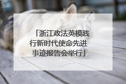 浙江政法英模践行新时代使命先进事迹报告会举行