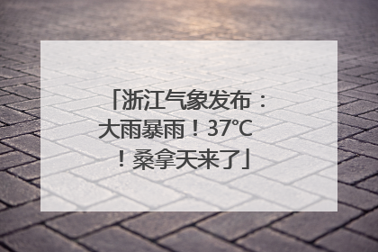 浙江气象发布：大雨暴雨！37℃！桑拿天来了