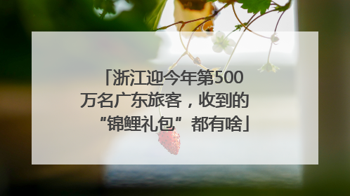 浙江迎今年第500万名广东旅客，收到的“锦鲤礼包”都有啥