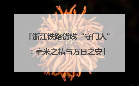 浙江铁路货线“守门人”：毫米之精与万日之安