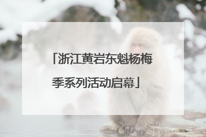 浙江黄岩东魁杨梅季系列活动启幕