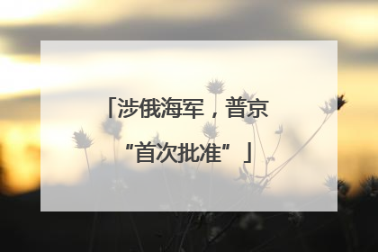 涉俄海军，普京“首次批准”