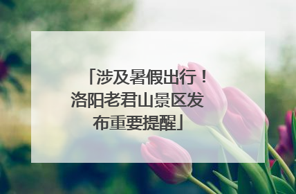涉及暑假出行！洛阳老君山景区发布重要提醒