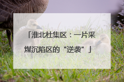 淮北杜集区：一片采煤沉陷区的“逆袭”