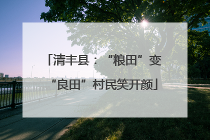清丰县：“粮田”变“良田”村民笑开颜