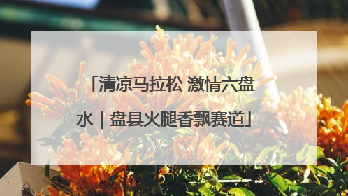 清凉马拉松 激情六盘水｜盘县火腿香飘赛道