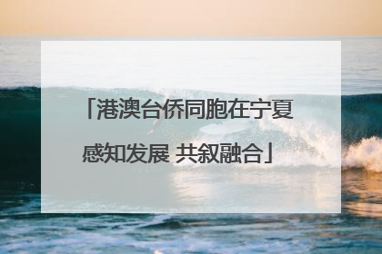 港澳台侨同胞在宁夏感知发展 共叙融合