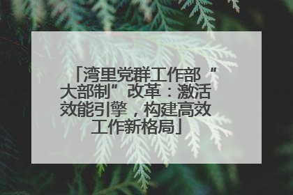 湾里党群工作部“大部制”改革：激活效能引擎，构建高效工作新格局