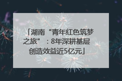 湖南“青年红色筑梦之旅”：8年深耕基层创造效益近5亿元