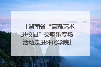 湖南省“高雅艺术进校园”交响乐专场活动走进怀化学院