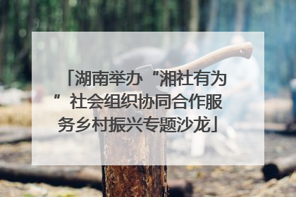 湖南举办“湘社有为”社会组织协同合作服务乡村振兴专题沙龙
