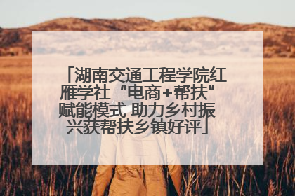 湖南交通工程学院红雁学社“电商+帮扶”赋能模式 助力乡村振兴获帮扶乡镇好评