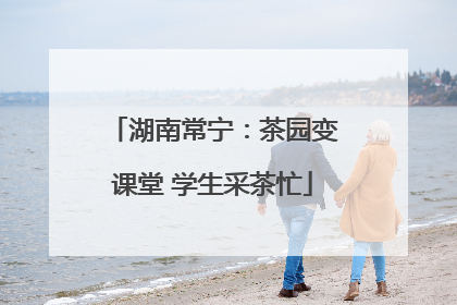湖南常宁：茶园变课堂 学生采茶忙