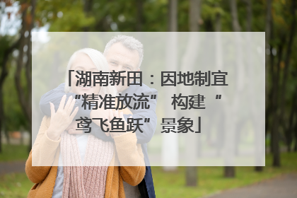 湖南新田：因地制宜“精准放流” 构建“鸢飞鱼跃”景象