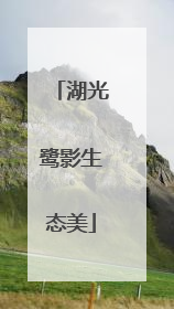 湖光鹭影生态美