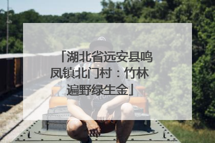 湖北省远安县鸣凤镇北门村：竹林遍野绿生金