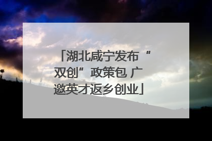 湖北咸宁发布“双创”政策包 广邀英才返乡创业