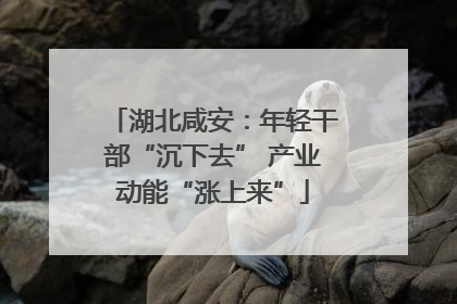 湖北咸安：年轻干部“沉下去” 产业动能“涨上来”