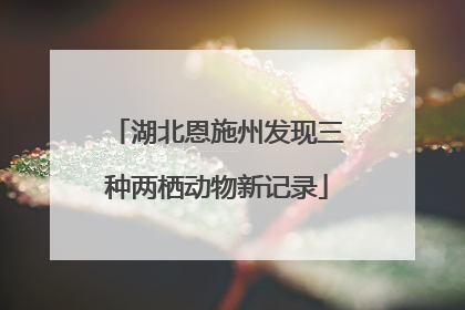 湖北恩施州发现三种两栖动物新记录