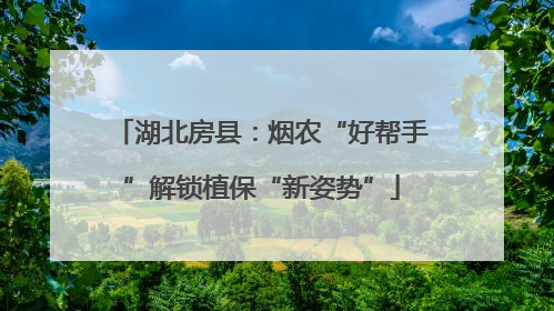 湖北房县：烟农“好帮手”解锁植保“新姿势”