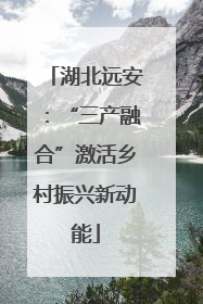 湖北远安：“三产融合”激活乡村振兴新动能