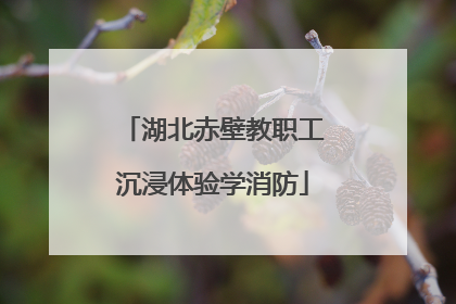湖北赤壁教职工沉浸体验学消防