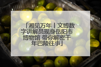 湘见万年丨文博数字讲解员现身岳阳市博物馆 带你解密千年巴陵往事