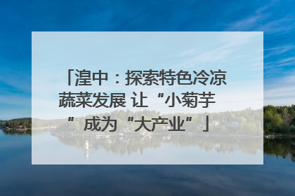 湟中：探索特色冷凉蔬菜发展 让“小菊芋”成为“大产业”